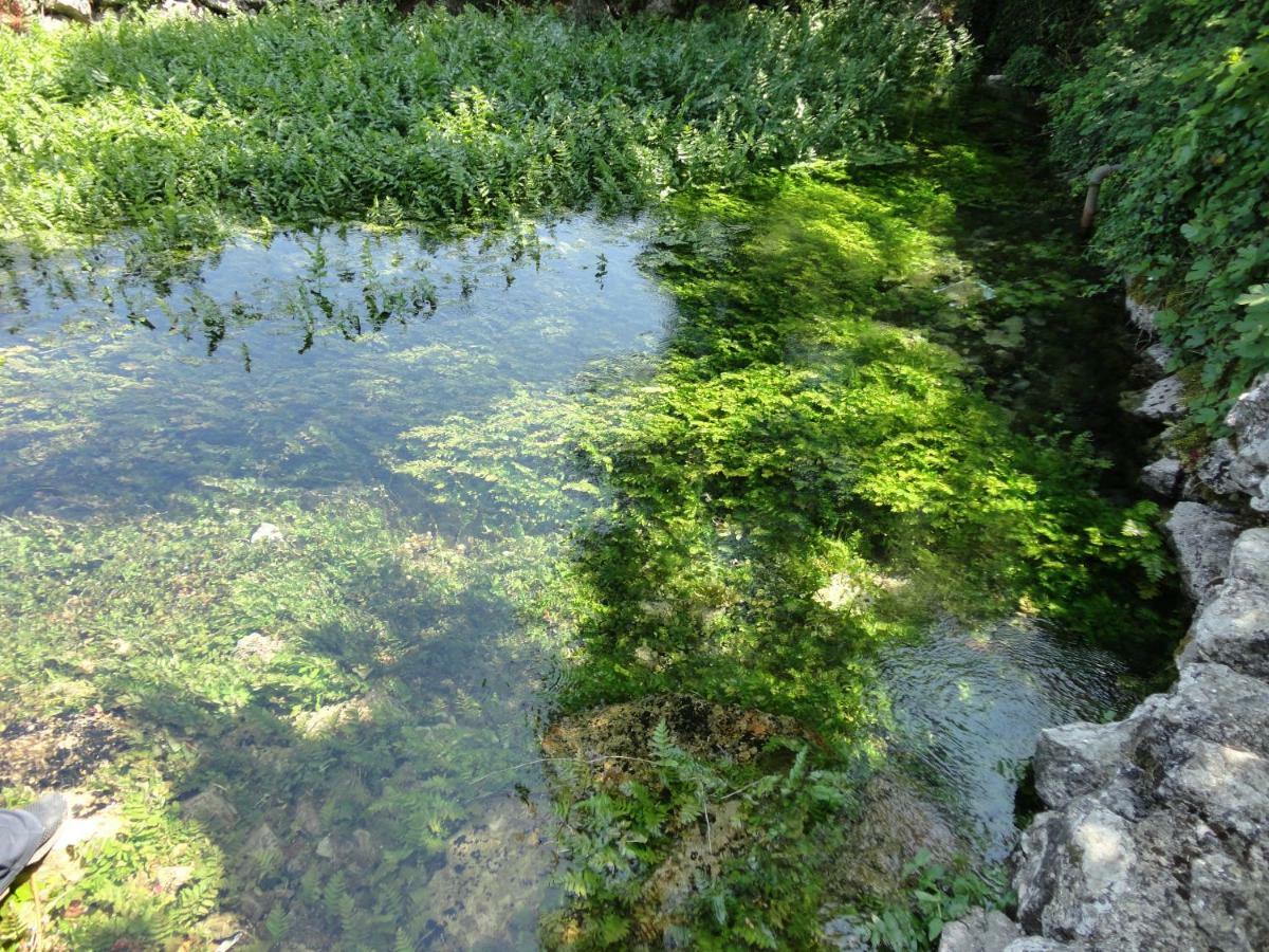 Water Spring Villa Hrvace Luaran gambar